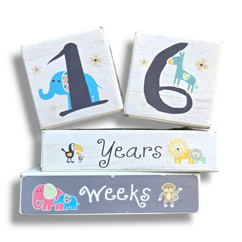Baby Milestone Photo Blocks in Box - Wooden - Animal Themed